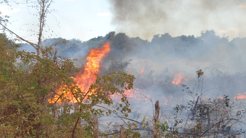 Incêndio assusta moradores no Bairro São Luís